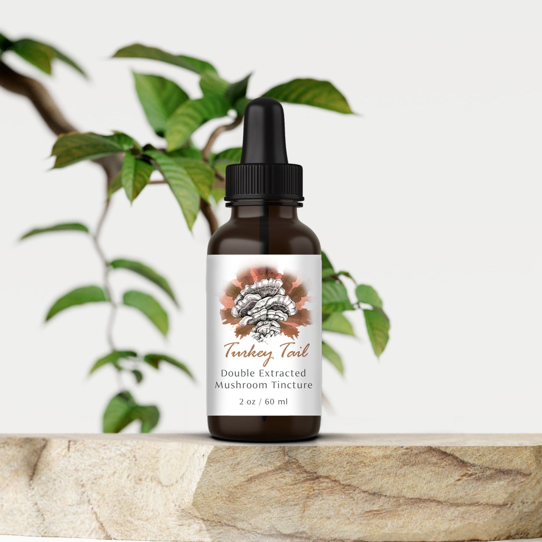 Turkey Tail Mushroom Tincture