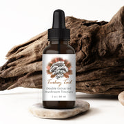 Turkey Tail Mushroom Tincture